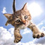 meow