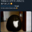 6oraλ