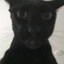 larrybot