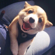 妲己把茶倒嘴里了