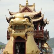 拿流年乱了浮生