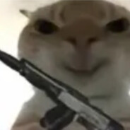 番茄龟哥内6794 888