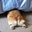 9亿少女的梦