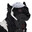 Black_wolf007