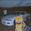 Gato Pistero