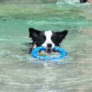 今年生日许什么愿望