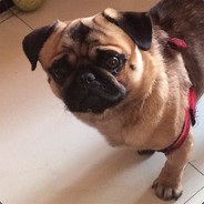 与其感慨路难行