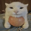 Steam avatar