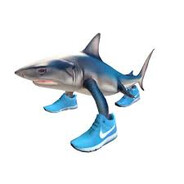 EAT SHARK TO SURVIVE