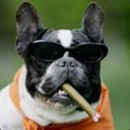 呼风唤雨陈一摸