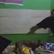 Pytskieee - steam id 76561199478413503