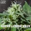 lemon_haze