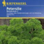 Peter Silie