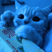 frosty (*・ω・)ﾉ - steam id 76561199442333432