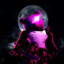 Xc_Gaspar_cX