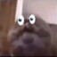 Un gato void