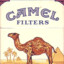 Camel 10