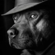 El doggo