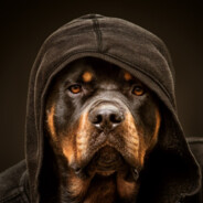 Кусочек-Сыра