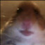 MTheGamer7