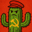 Cactus McNoob