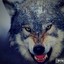 GHOST_77