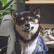 科目三挂次两次