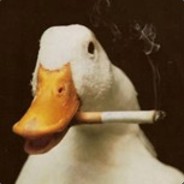 DuckOnQuack |trade.tf