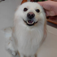 草莓啵啵要吃啵啵