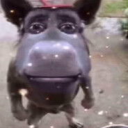 ponos - steam id 76561199648444560