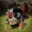 WildTurkey