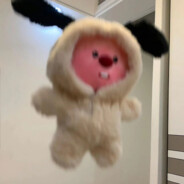 开心的小龙虾yan