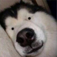 学会这五步，马上去天