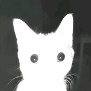leroyy