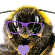 Rin Bee