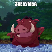 PUMBA - steam id 76561198964472932