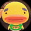 chokchok