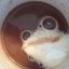 CoffeeFrog