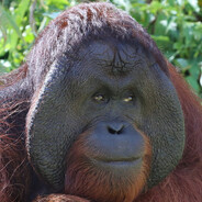 Toini - steam id 76561199645120192