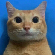 把你装进口袋里