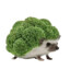 Broccochog