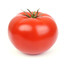 TOMATE SAUVAGE