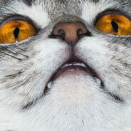 ❤️🧡💛💚💜💙 - steam id 76561199334259409