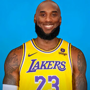 两手一摊勒布朗詹