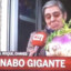 Nabo Gigante