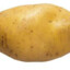 POTATO