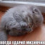 Киберпсих2013