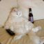 Xanavius / FloppyFred