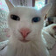 Celade7's avatar