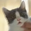 .:GatoApelão:.